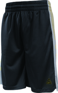 peak basketball shorts